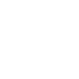 PLUME 10000 (Rectangular, ( T 160X220 + 2T 60X110 ), BLANC LX CHICHEN)