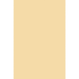PLUME 10000 (Rectangular, 200X280, CREME LX CHICHEN)